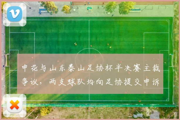 申花与山东泰山足协杯半决赛主裁争议，两支球队均向足协提交申诉